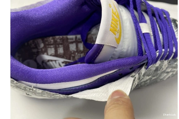 Nike Old Flip Dunk School the Low DJ4636-100 0109